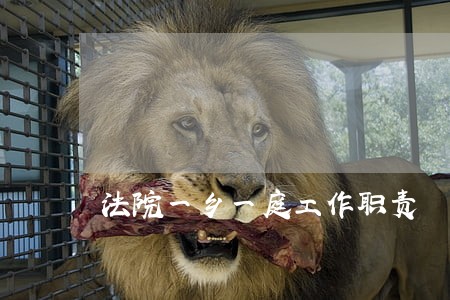 法院一乡一庭工作职责 法院一乡一庭工作职责