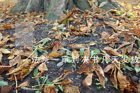 法院一审判决书几天发放 法院一审判决书几天发放