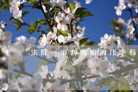 法院一审判离婚的几率有多大 法院一审判离婚的几率有多大