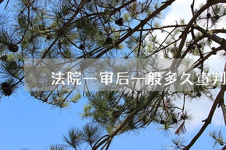 法院一审后一般多久宣判 法院一审后一般多久宣判