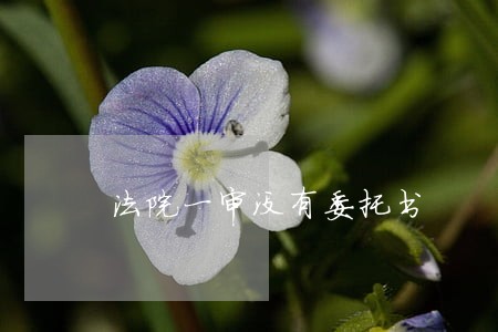 法院一审没有委托书 法院一审没有委托书