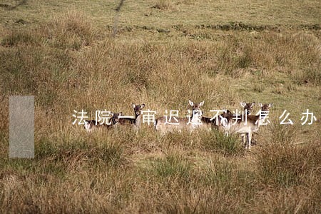 法院一审迟迟不判怎么办 法院一审迟迟不判怎么办