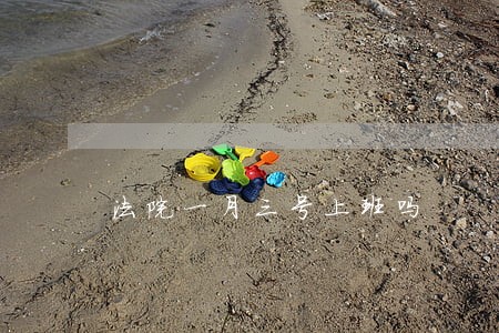 法院一月三号上班吗 法院一月三号上班吗