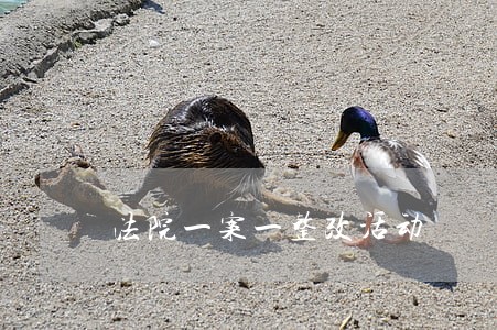 法院一案一整改活动 法院一案一整改活动