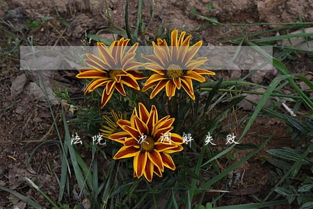 法院一次调解失败