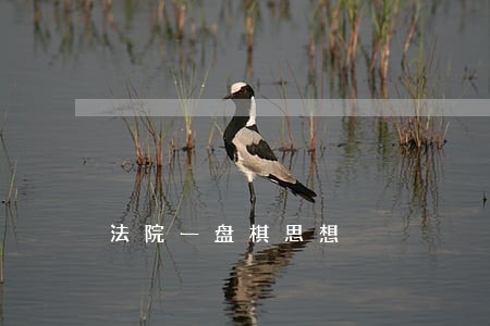 法院一盘棋思想 法院一盘棋思想