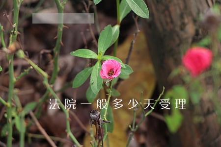 法院一般多少天受理 法院一般多少天受理