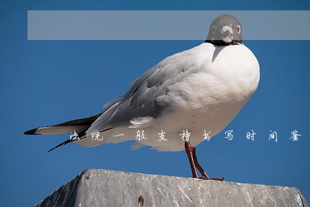 法院一般支持书写时间鉴定吗 法院一般支持书写时间鉴定吗