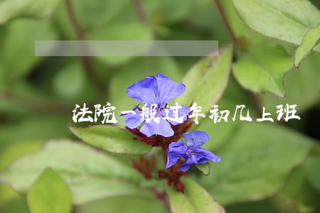 法院一般过年初几上班 法院一般过年初几上班