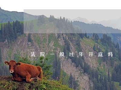 法院一般过年开庭吗 法院一般过年开庭吗