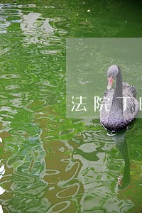 法院丁晓金 法院丁晓金