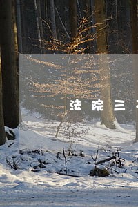 法院三不限报的人多吗