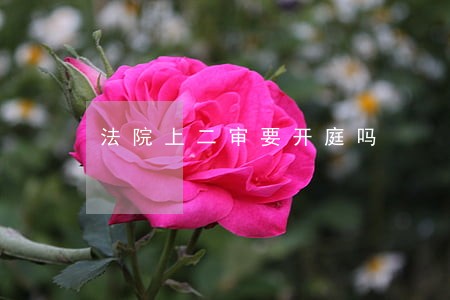 法院上二审要开庭吗