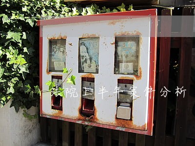 法院上半年案件分析 法院上半年案件分析