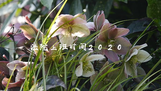 法院上班时间2020 法院上班时间2020
