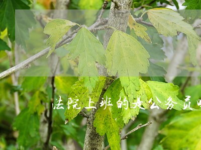 法院上班的是公务员吗 法院上班的是公务员吗