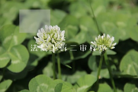 法院上诉二审程序 法院上诉二审程序