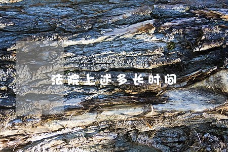 法院上述多长时间