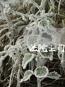 法院上门依法予以扣押 法院上门依法予以扣押
