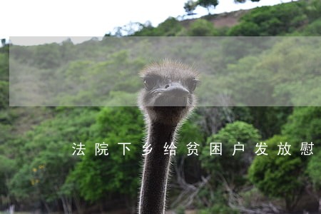 法院下乡给贫困户发放慰问金 法院下乡给贫困户发放慰问金