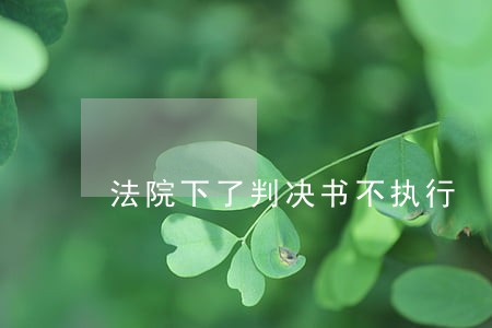 法院下了判决书不执行 法院下了判决书不执行