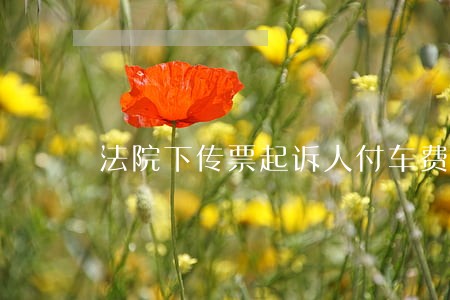 法院下传票起诉人付车费吗