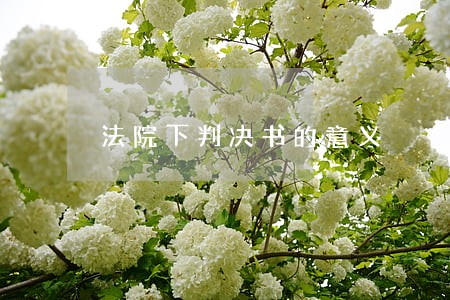 法院下判决书的意义