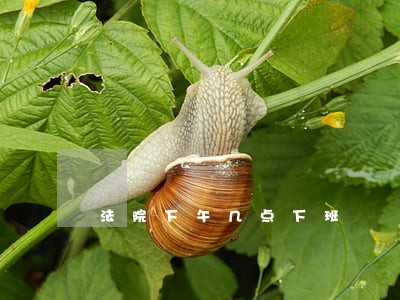 法院下午几点下班