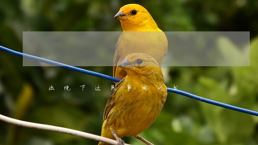 法院下达民事询问书 法院下达民事询问书