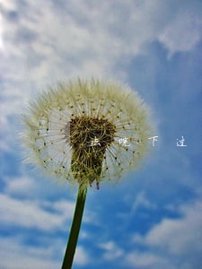 法院下过两次传票到家 法院下过两次传票到家