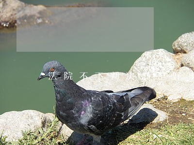 法院不下判决书是好事吗 法院不下判决书是好事吗