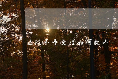 法院不予受理如何救济 法院不予受理如何救济