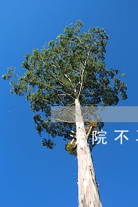 法院不再受理信用卡逾期案件 法院不再受理信用卡逾期案件