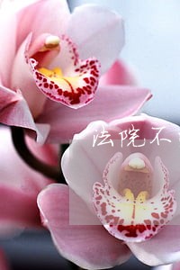 法院不受理当事人的上诉请求
