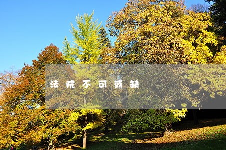 法院不可或缺 法院不可或缺