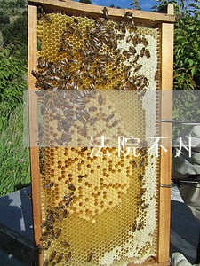 法院不开庭审理是什么意思 法院不开庭审理是什么意思