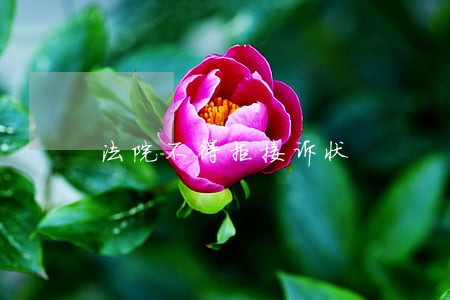 法院不得拒接诉状 法院不得拒接诉状