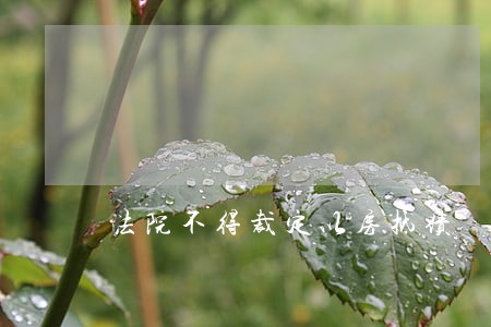 法院不得裁定以房抵债 法院不得裁定以房抵债