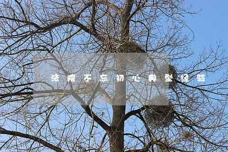 法院不忘初心典型经验 法院不忘初心典型经验