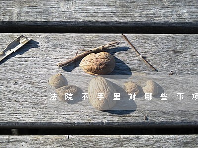法院不手里对哪些事项提起的诉讼 法院不手里对哪些事项提起的诉讼