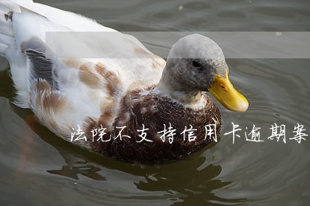 法院不支持信用卡逾期案件吗