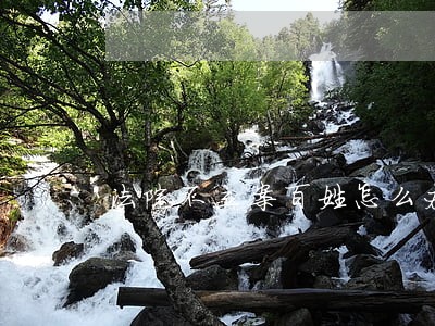 法院不立案百姓怎么办 法院不立案百姓怎么办