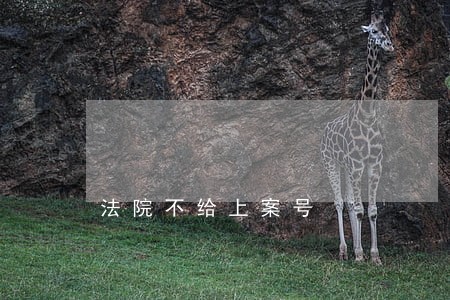 法院不给上案号
