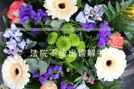 法院不给出调解书 法院不给出调解书