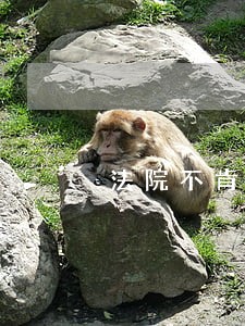 法院不肯邮寄坚持要我去拿 法院不肯邮寄坚持要我去拿
