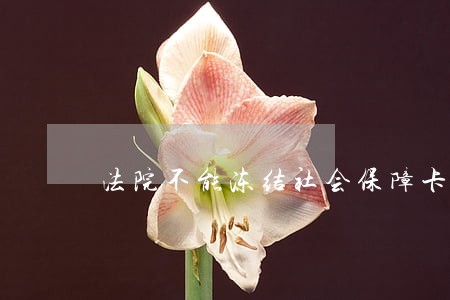法院不能冻结社会保障卡 法院不能冻结社会保障卡