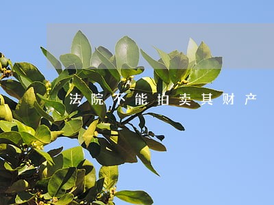法院不能拍卖其财产 法院不能拍卖其财产
