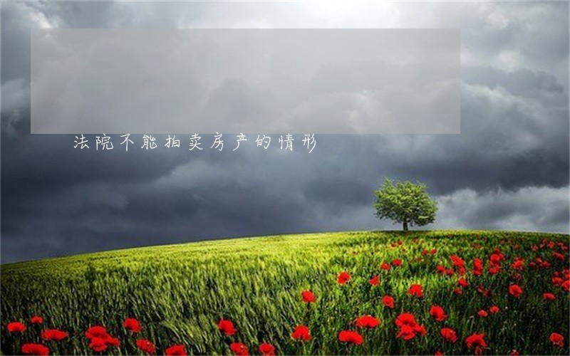 法院不能拍卖房产的情形