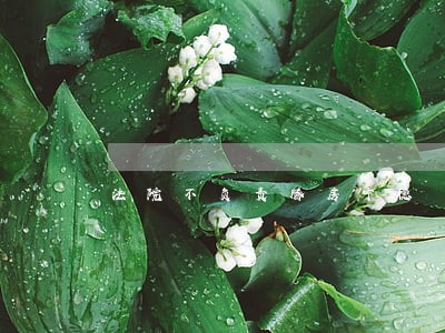 法院不负责腾房宁德 法院不负责腾房宁德