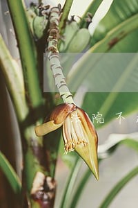 法院不起诉公安机关 法院不起诉公安机关